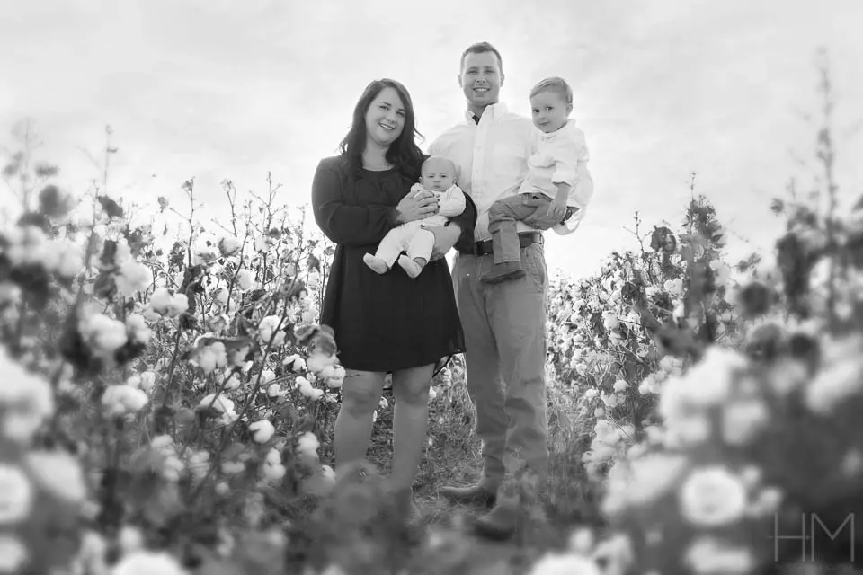 cotton love