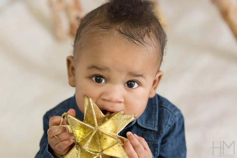 baby family photographer