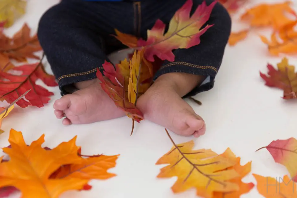 baby family photographer