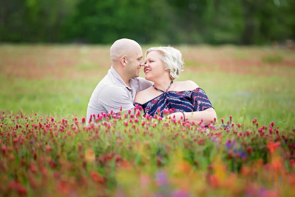 clover fields