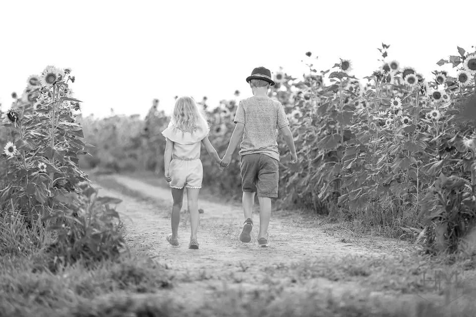 outdoor sunflower photography dfw